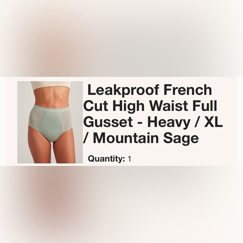 NIB Saalt Leakproof French Cut High Waist Underwear